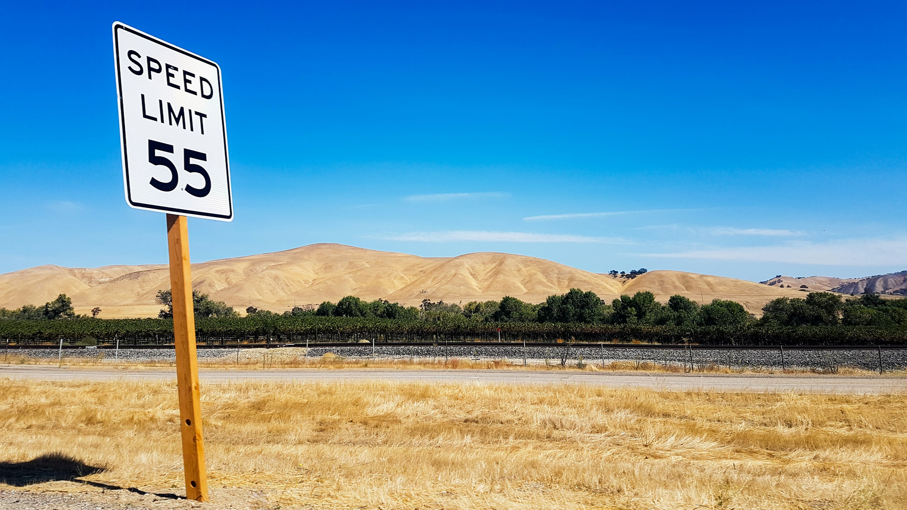 A white speed limit 55 sign on a wooden post beside an empty road, with dry grass, a line of trees, and bare hills behind it.